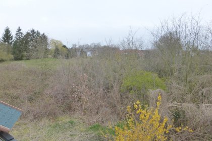 P1040130
