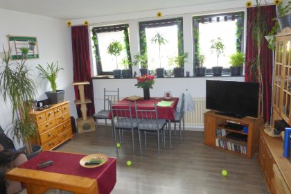 Bild 4